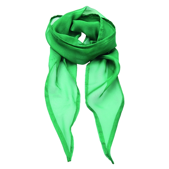 Women`s Colours Collection Chiffon Scarf