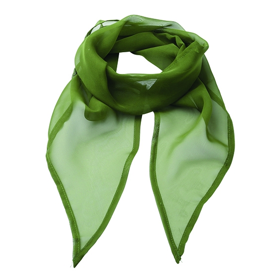 Women`s Colours Collection Chiffon Scarf