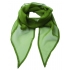 Women`s Colours Collection Chiffon Scarf