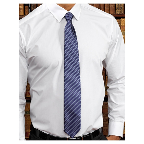 Double Stripe Tie