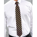 Sports Stripe Tie