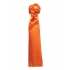 Women`s Business Scarf - Plain