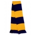 Team Scarf