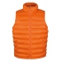 Men`s Ice Bird Padded Gilet