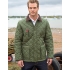Cheltenham Gold Jacket