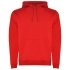 Urban Hooded Sweatshirt