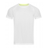 Active 140 Raglan