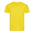 Ben V-Neck
