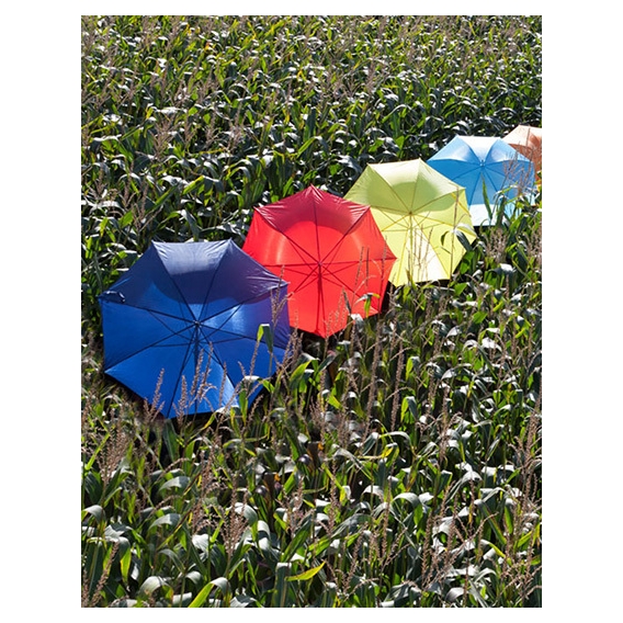 Automatic umbrella with wooden handle