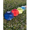 Automatic umbrella with wooden handle