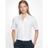Women`s Blouse Regular Fit Shortsleeve