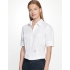 Women`s Blouse Slim Fit Shortsleeve