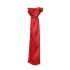 Satin Scarf