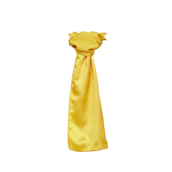 Satin Scarf