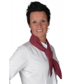 Baker`s Scarf