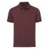 Men`s HD Raglan Polo