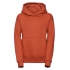Children´s Hooded Sweatshirt